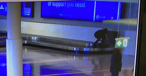 Charges laid after alleged joyride at Canberra Airport baggage carousel