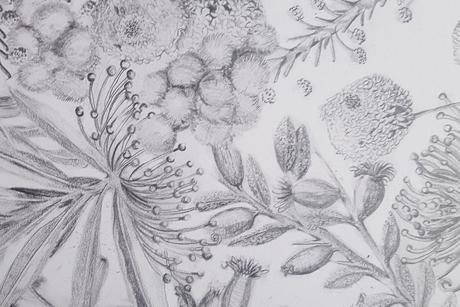 drawing of plants and leaves