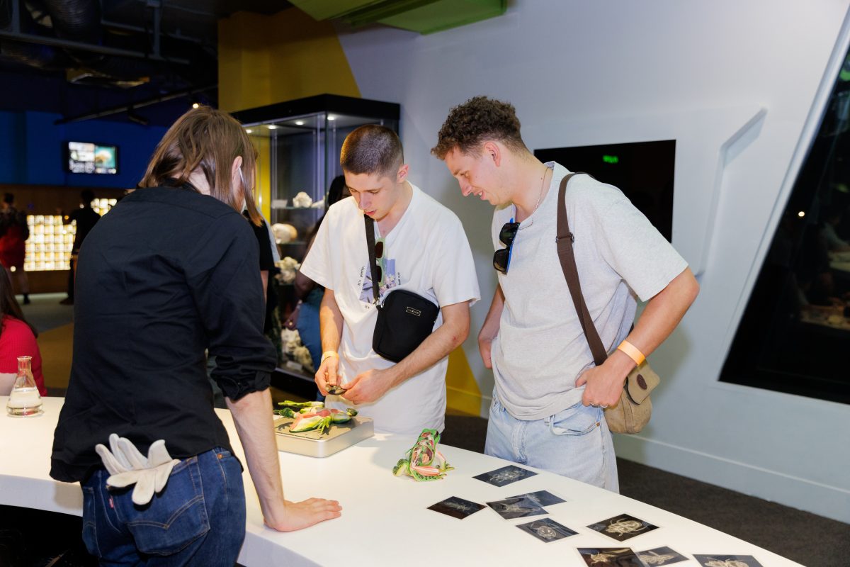 Three young men participating in an activity on the science of reptiles.