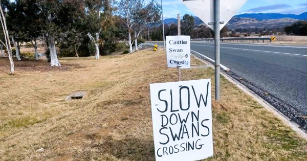 ACT Government no longer installs wildlife signs because they 'do little to change driver behaviour'