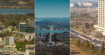 QUIZ: In 1908, what did a politician say would probably happen to you if you stayed in Canberra?