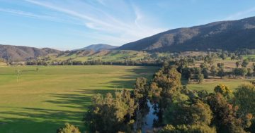 New opportunities but same beauty as Yass Valley campgrounds come under new management