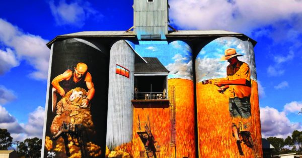 Where to see five spectacular painted silos and water tanks in the Riverina