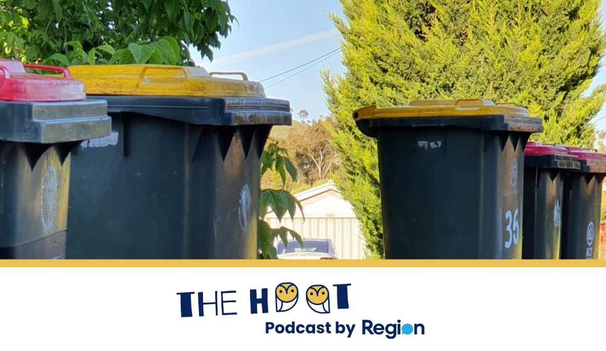 bins with the hoot logo