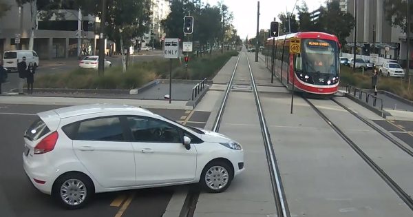Transport Canberra releases footage of cars turning into path of light rail