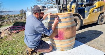 A barrel's second life: unveiling the art of 'recooping' at Lerida Estate