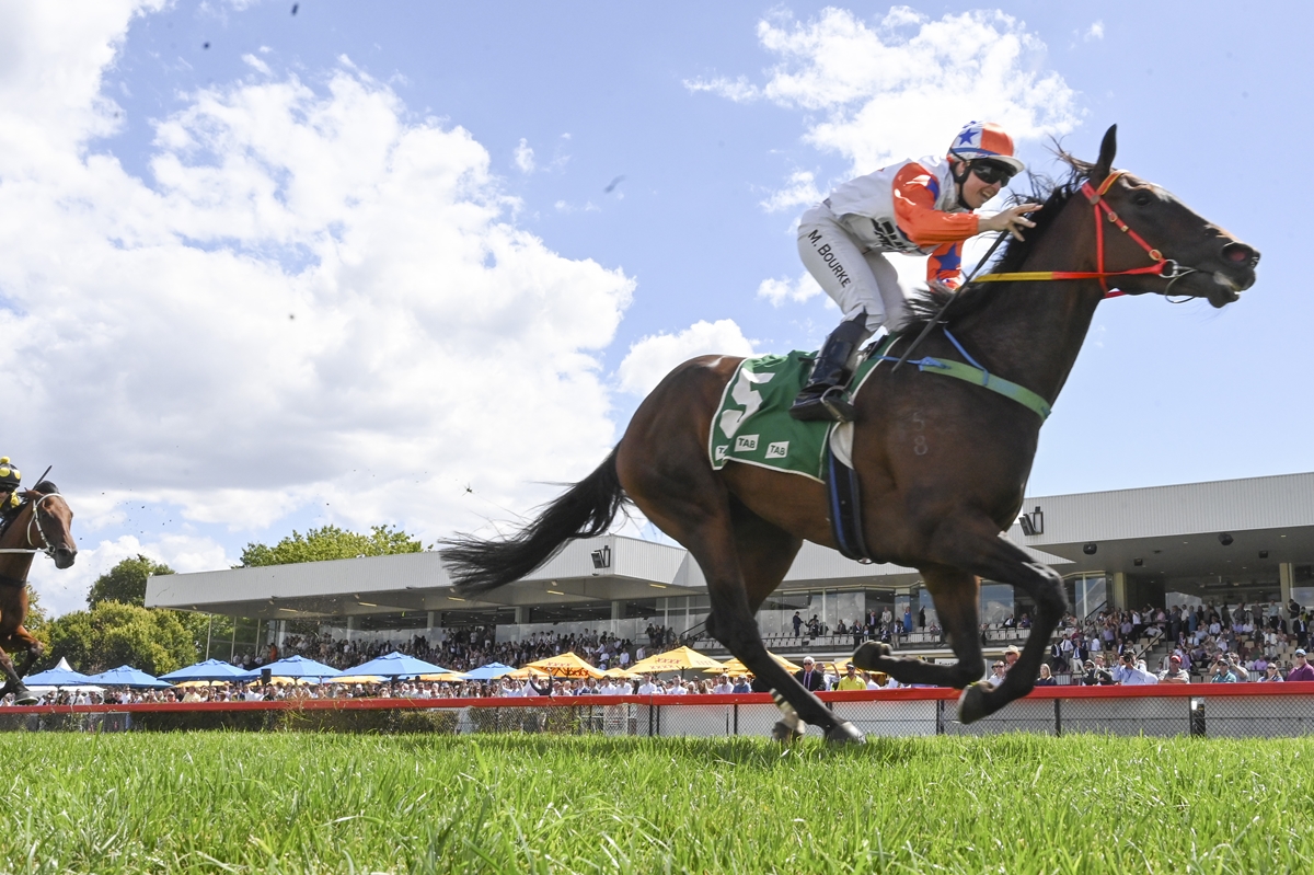 ground action shot of racehorse and smiling jockey