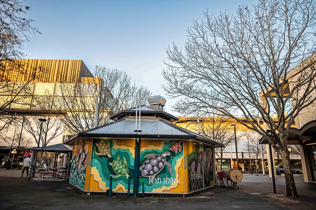 A restaurant covered in turtles