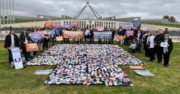 800-plus booties laid out on Parliament lawns represent babies 'left to die', protesters claim