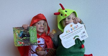 Thank you Kmart for saving Book Week (and other reasons why I'm failing as a parent)