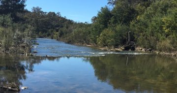Swimming restrictions in place for ACT rivers following recent storms
