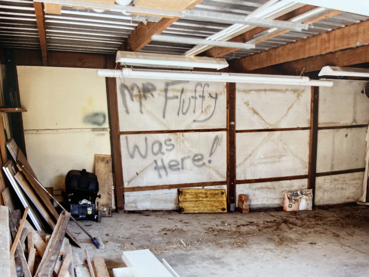 demolition site with graffiti