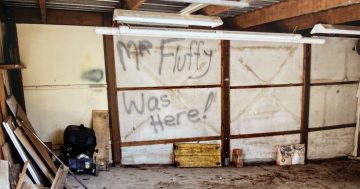 Mr Fluffy exhibition highlights the long shadows asbestos cast across the Canberra community