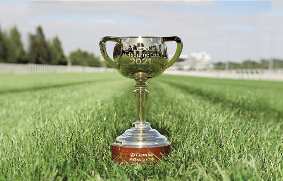 Lexus Melbourne Cup sitting on grass