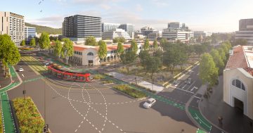 Arboretum trial to find best route to greening light rail