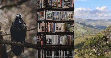 QUIZ: How much of a reader of Australian books are you?