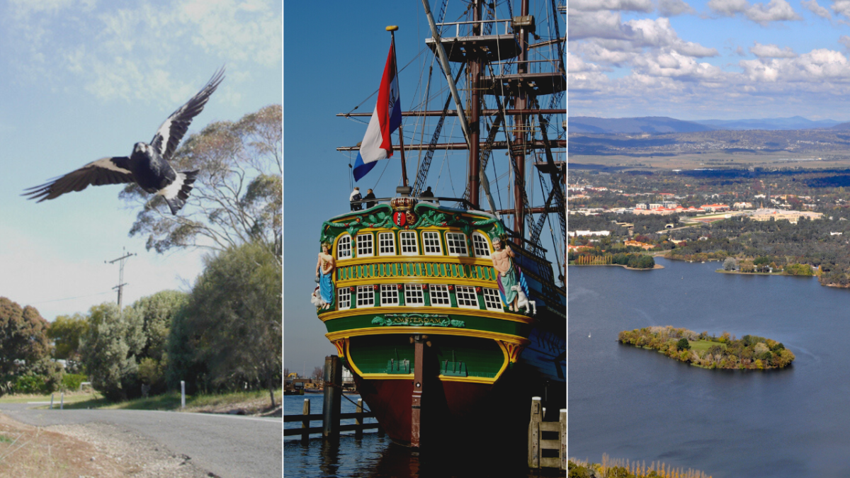 swooping magpie, ship, Lake Burley Griffin