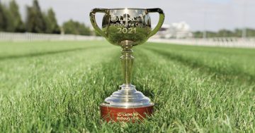Get those cameras ready – the Melbourne Cup is coming to Canberra