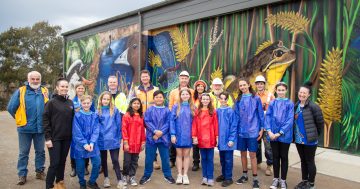 Evatt students spruce up previously plain sites with picture-perfect wildlife