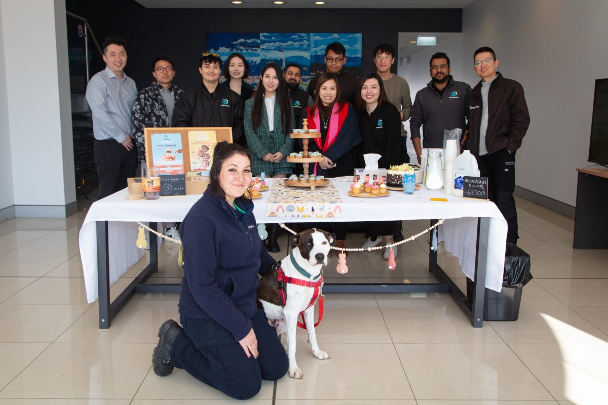 Mondiaux Solar staff standing around the cupcake table with RSPCA staff and dog up for adoption