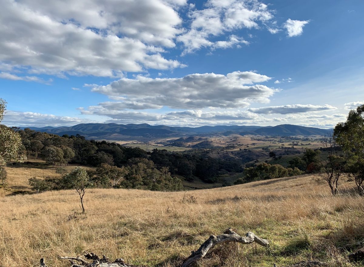 Photo overlooking the valley of Ginninderry Conservation Corridor