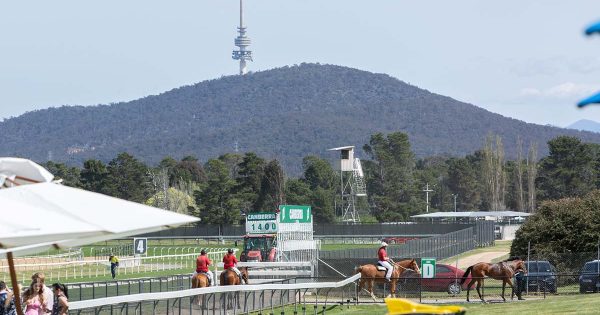 Greens say racing should be turfed from Thoroughbred Park to build housing