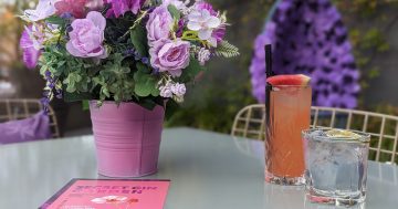 Underground Spirits' gin garden raises the bar at Floriade