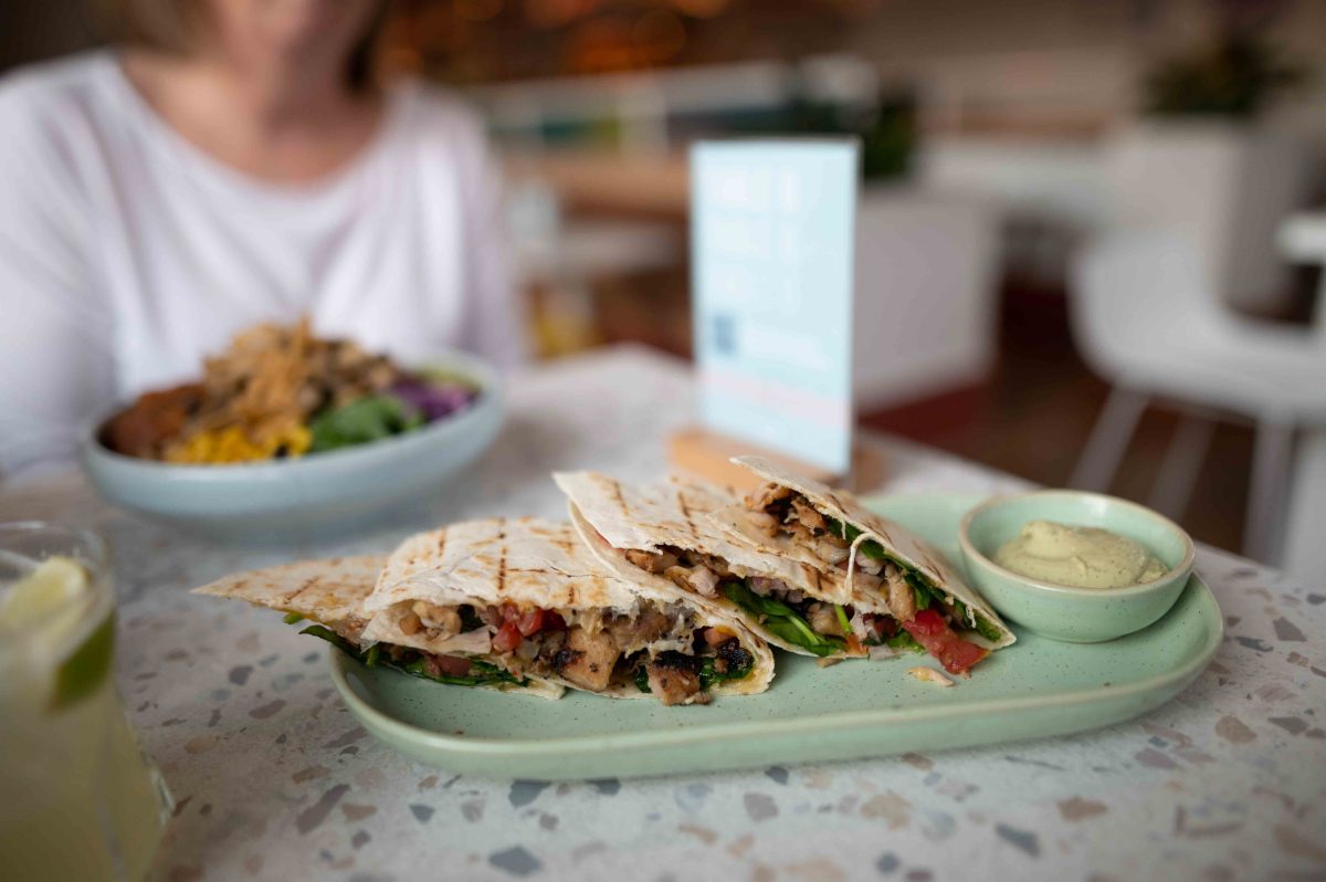 a plate of quesadilla