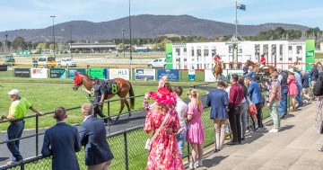 Develop racetrack as Canberra's first 'cool suburb', government told