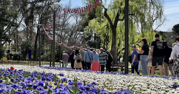 Commonwealth Park needs a rescue mission to remain the city's green heart