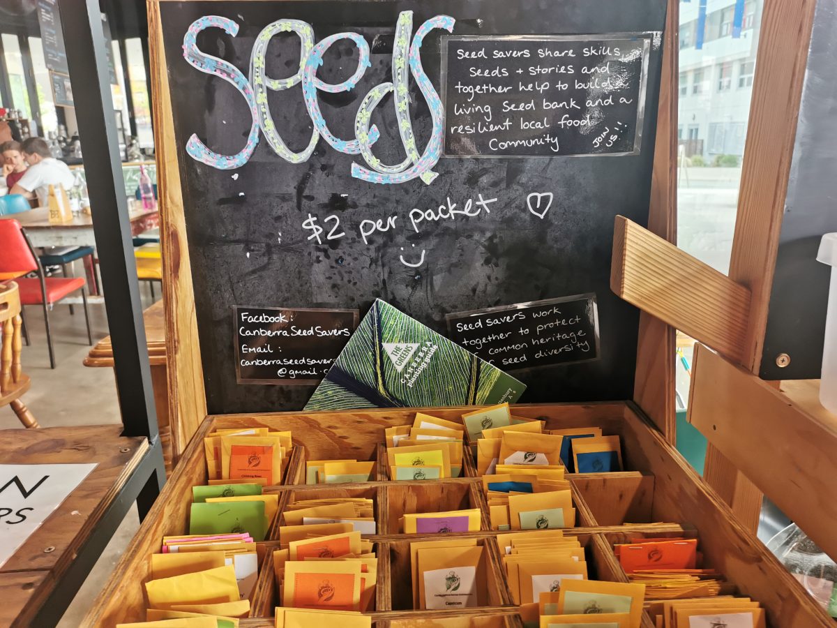 Canberra Seed Savers Cooperative is a local community-based network of people passionate about the importance of open-pollinated seeds.