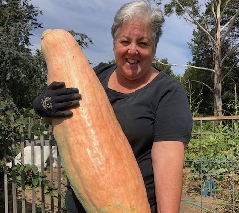 woman with large pumpkin