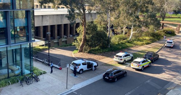 Chief Psychiatrist reviewing circumstances surrounding ANU stabbings and the alleged attacker