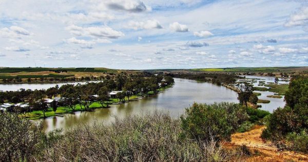 The Wentworth Group says the revised Murray-Darling Basin Plan isn’t enough to save rivers