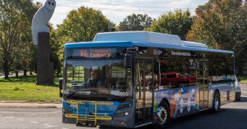 Long-awaited Belconnen Transitway given three year deadline to become reality