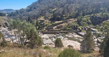 A path to healing: Snowy Valleys walks drive home benefits of reconnecting with nature