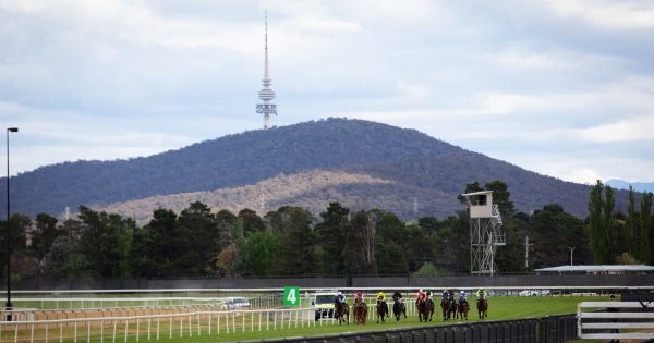 The gambling industry’s chokehold on our government means you’re about to lose, Canberra