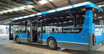 'Propaganda signage' and 'ghost buses': Accusations fly over whereabouts of '106' electric buses
