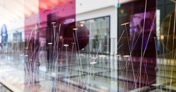 Glass artist reflects on Floriade 2023 with Canberra Centre installation