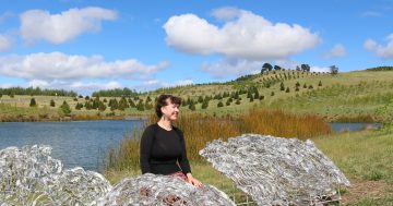 Artist draws on Canberra's resilience to mark 20th anniversary of National Arboretum