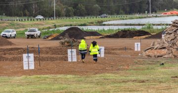 No opportunity wasted in Fyshwick spoil to soil experiment