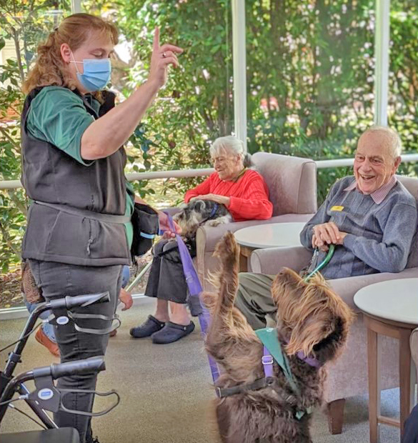 Dog playing with older people