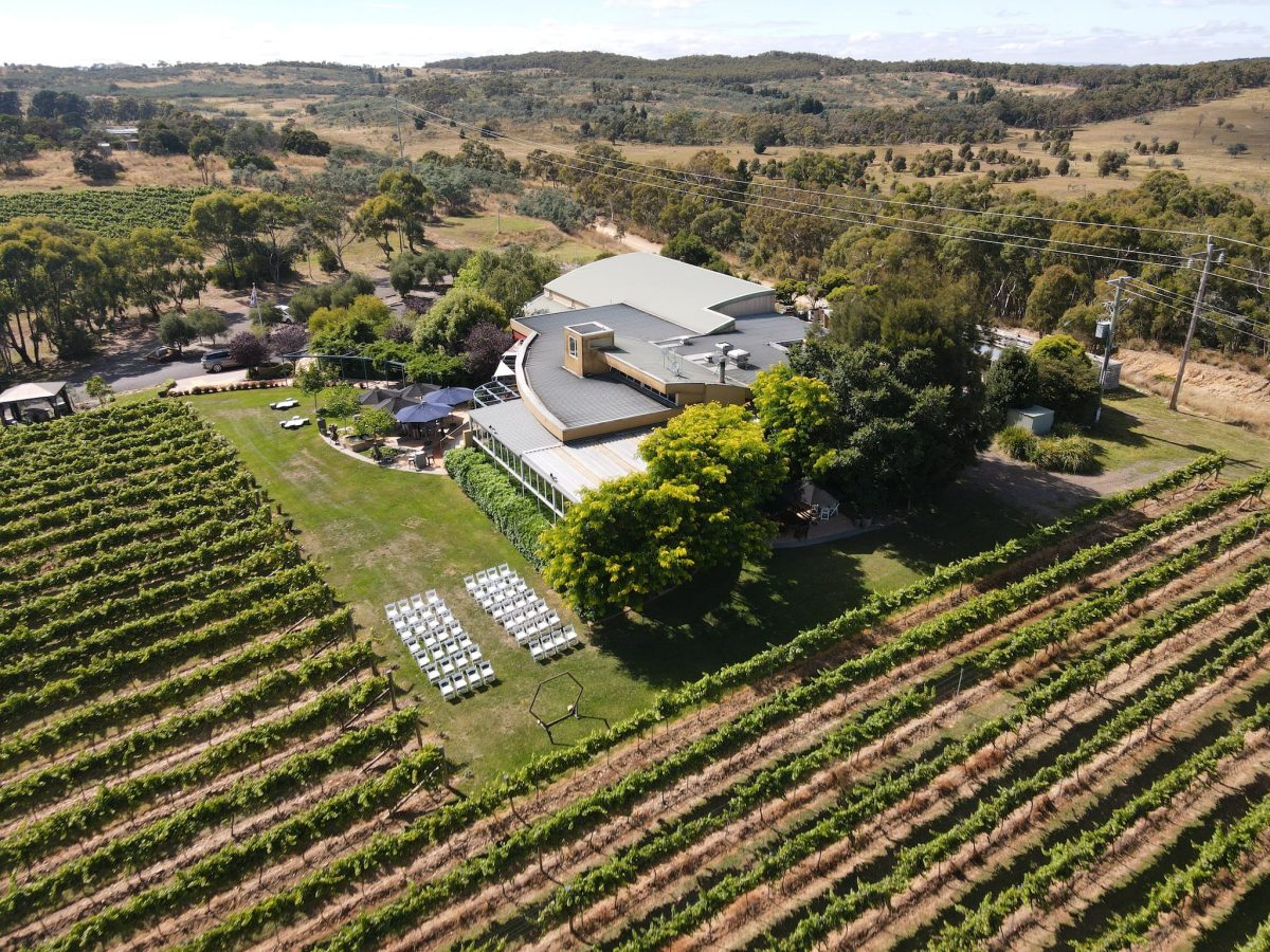 aerial view of vineyard