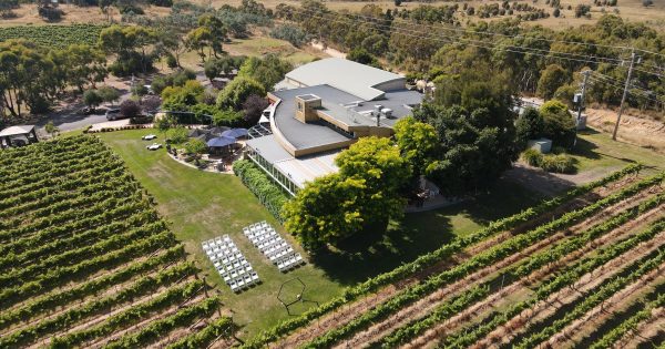 Good times ahead for Contentious Character as winery puts troubles behind it
