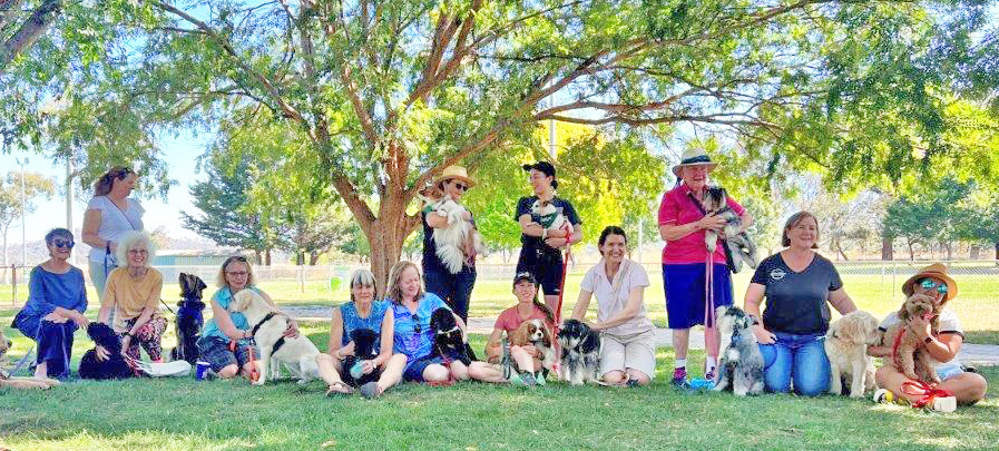 A row of owners sitting or standing with their dogs under a tree at a park on a sunny day.