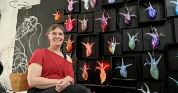 Queanbeyan's queen of glass hearts has another light-bulb moment