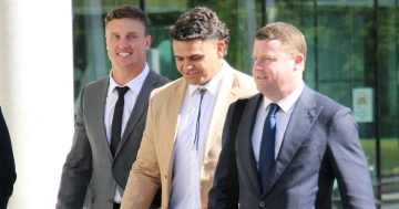 'Poison at the root' of investigation into Jack Wighton and Latrell Mitchell's alleged fight, barrister claims