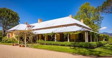 Canberra's heritage homesteads to be considered sites for urban agriculture opportunities
