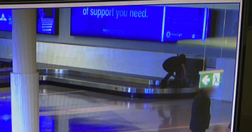 Dad thought it 'might be funny' for son to ride Canberra Airport baggage carousel