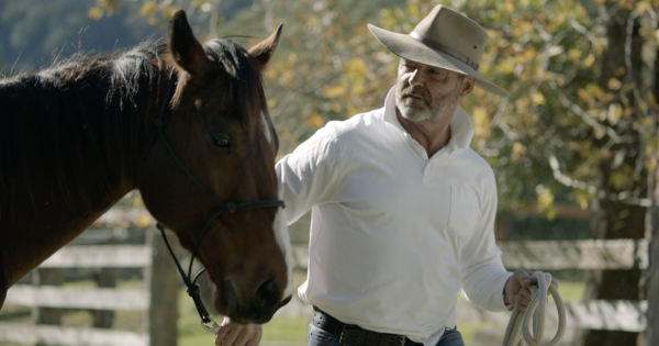 Scarred veterans and horses find healing together in must-see film